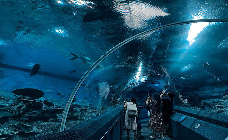 Aquarium