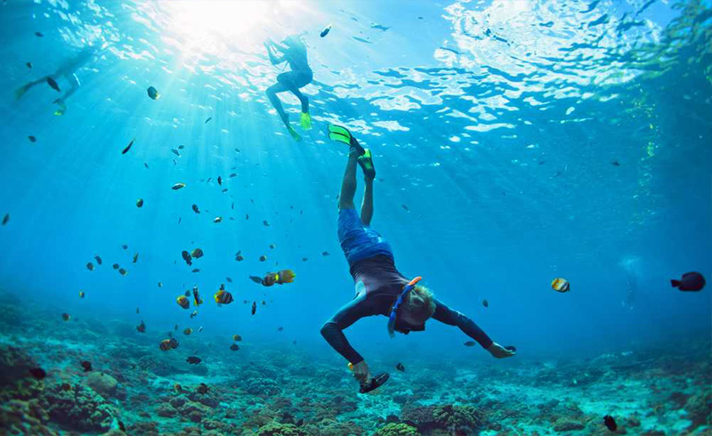 scuba